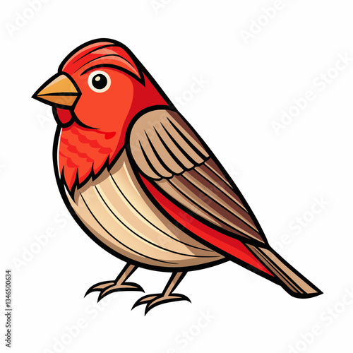 finch bird on a white background