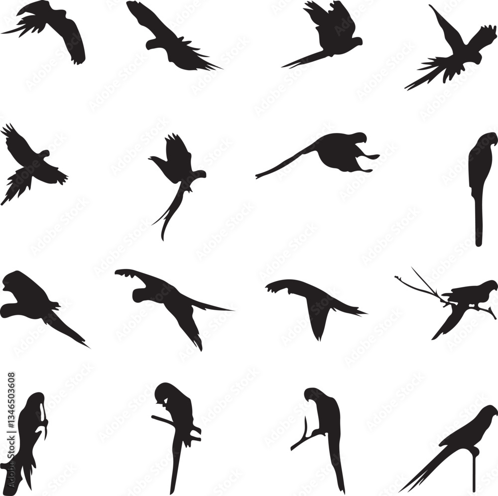 Fototapeta premium set of silhouettes of bird vector art background 