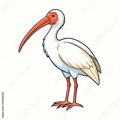 ibis on white background