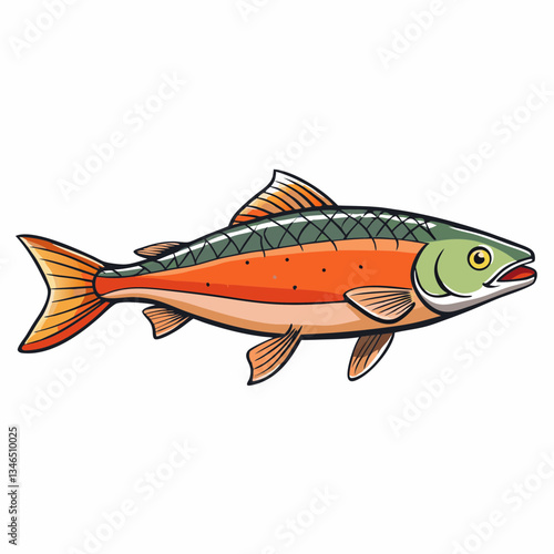 vector illustration of an arctic char fish