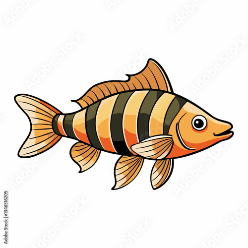 vector illustration of tiger barb fish