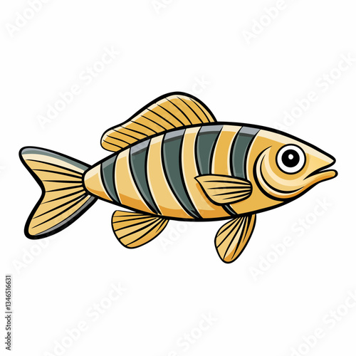 zebra danio fish isolated on white