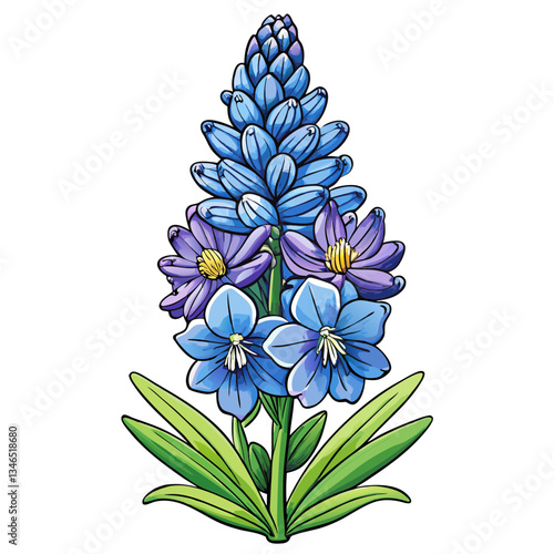delphinium flowers on white