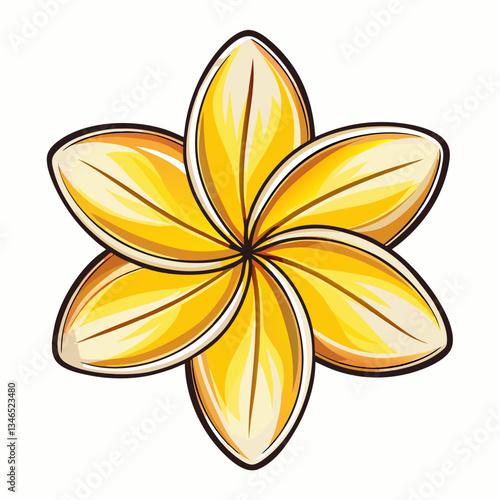 vector illustration of a plumeria flower
