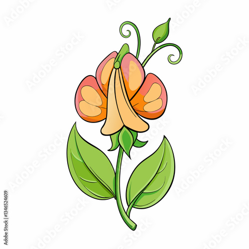 sweet pea flower isolated on white background