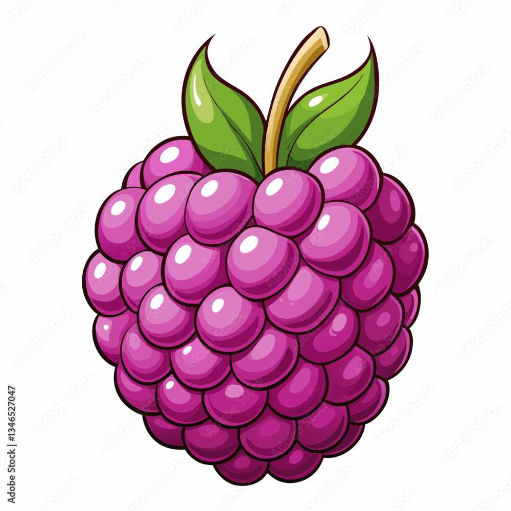 vector illustration of a boysenberry vector illustration of a boysenberry