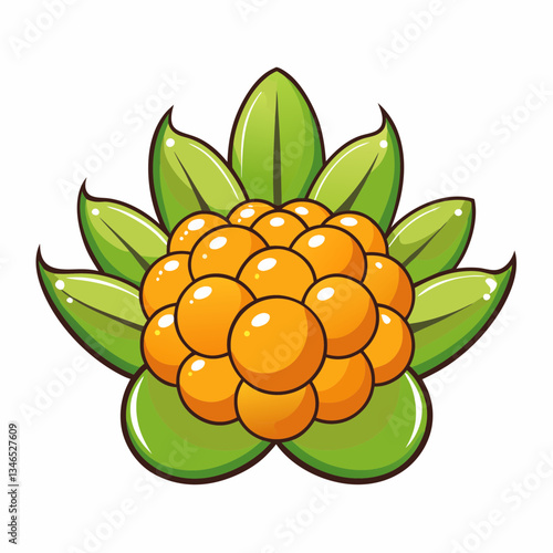 vector illustration of a cloudberry