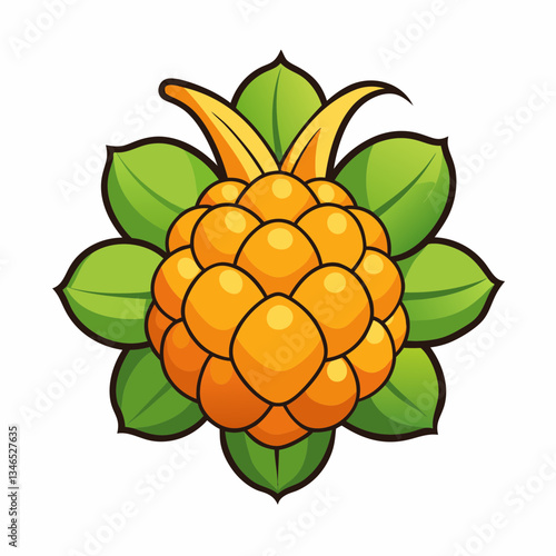 vector illustration of a cloudberry