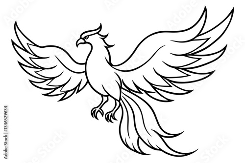 fenix bird line art silhouette vector illustration