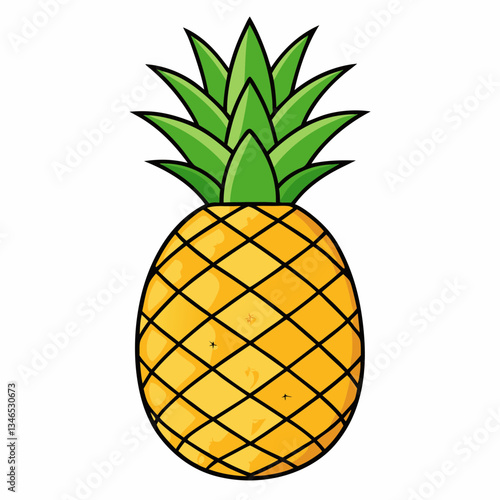 pineapple vector illustration