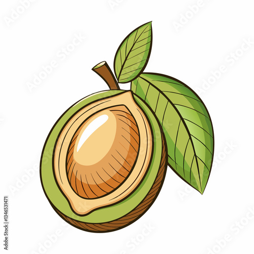 sapodilla fruit with leaves