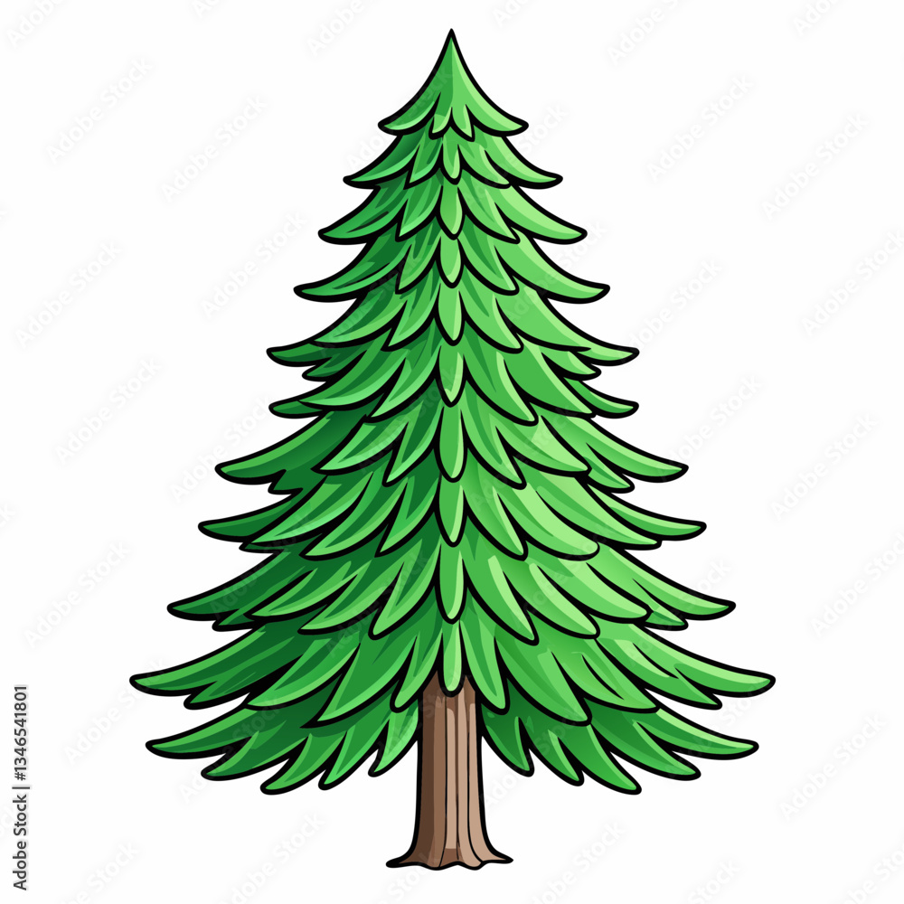 hemlock tree isolated on white hemlock tree isolated on white