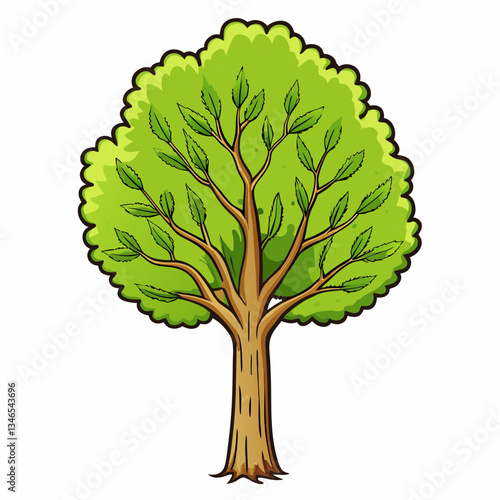 vector illustration of a poplar tree
