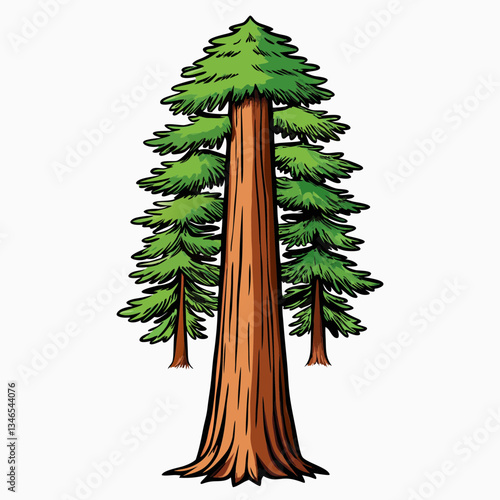 sequoia tree vector illustration