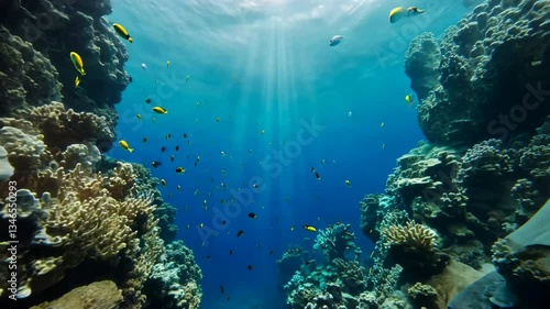 Vibrant Coral Reefs Underwater Colorful Fish Dance in Oceans Sunlit Embrace