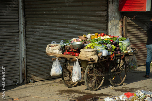 Indian people sale and buy food product fruit vegetable from small local grocery cart at Janpath Market and Dilli Haat bazaar in New Delhi, India