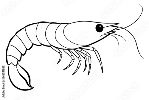 shirmp line art silhouette vector illustration