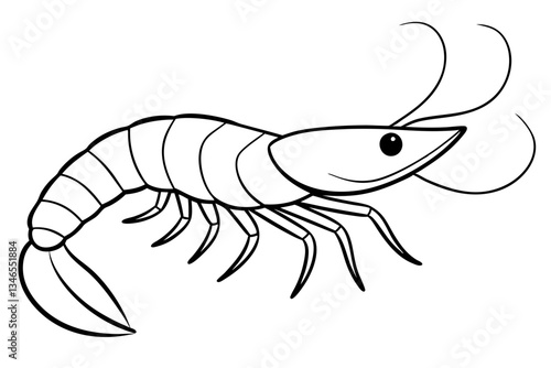 shirmp line art silhouette vector illustration