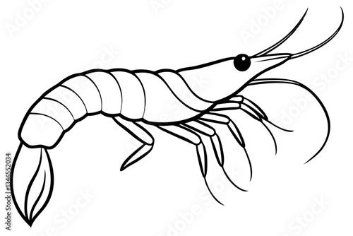 shirmp line art silhouette vector illustration
