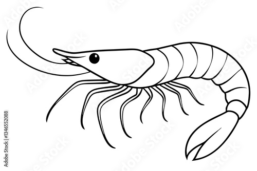 shirmp line art silhouette vector illustration