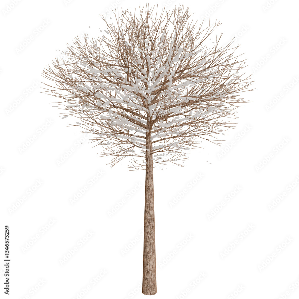 Obraz premium Detailed illustration of a light tan tree against a dark background