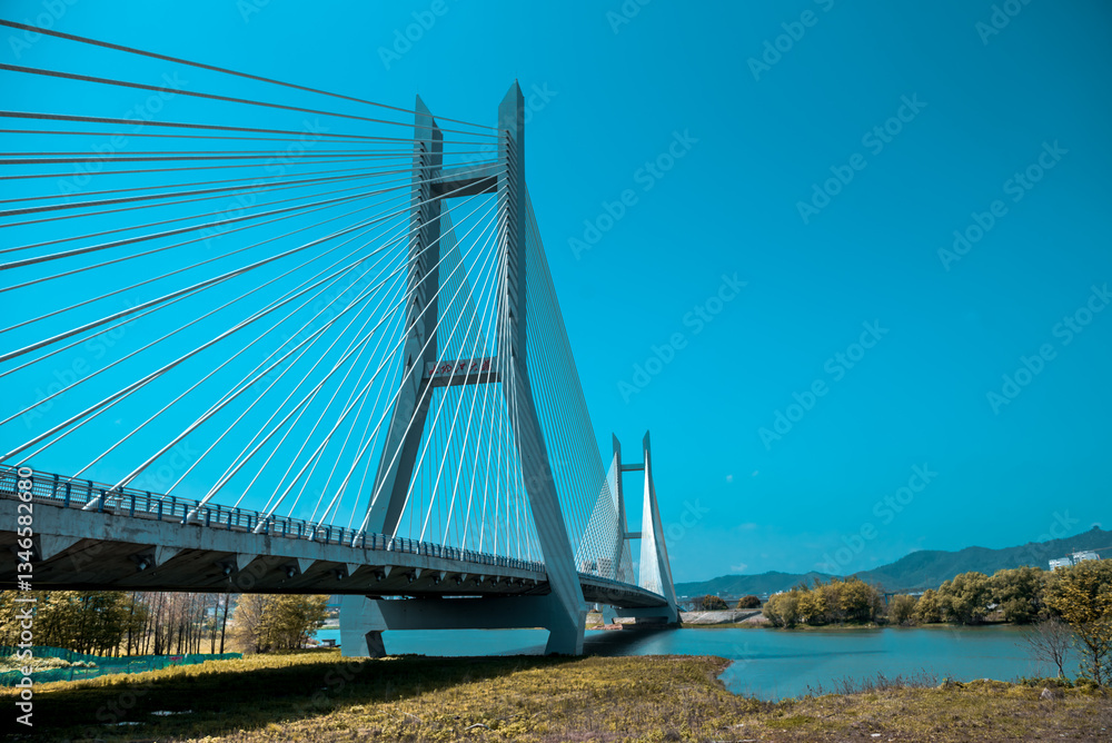 Obraz premium Various bridge buildings and urban roads