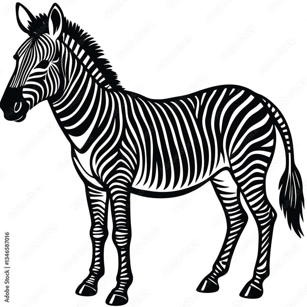 Fototapeta premium Adobe Illustrator ArtworkZebra illustration