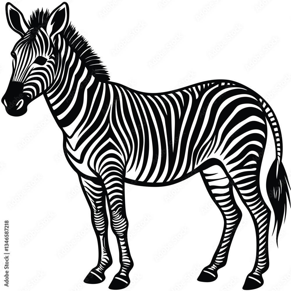 Fototapeta premium Adobe Illustrator ArtworkZebra illustration