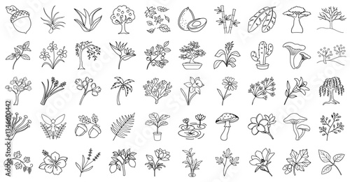 collection of various plant and flower line drawings, including trees, leaves, and mushrooms