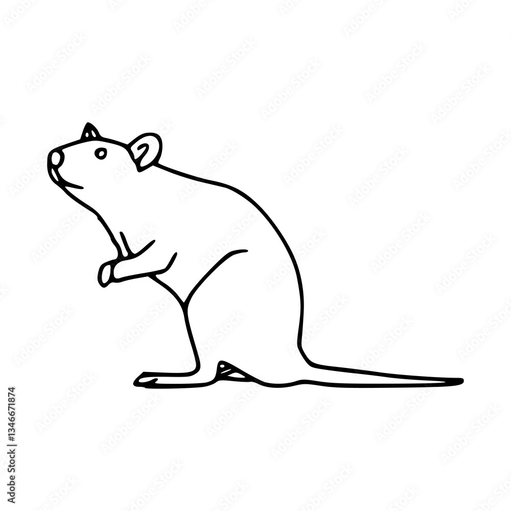 Fototapeta premium standing mouse outline