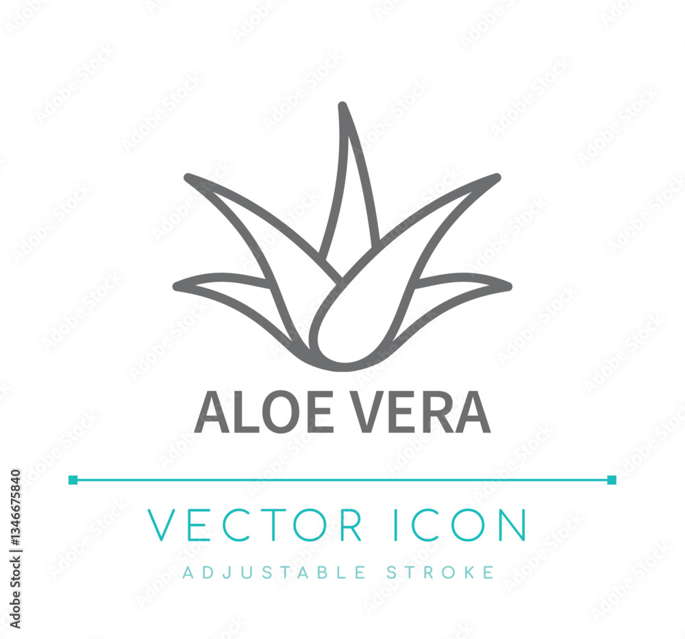 Aloe Vera Line Icon Aloe Vera Line Icon