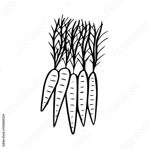 bunch of carrots vector illustration
