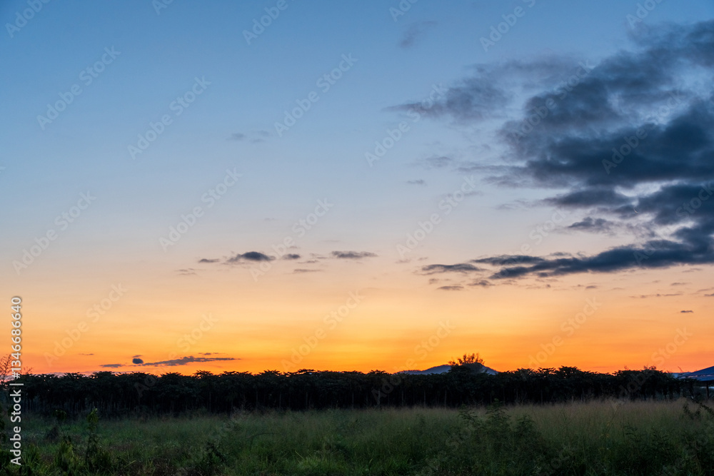 Fototapeta premium Landscape of sunrise orange sky background