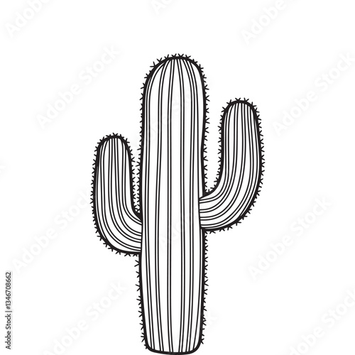 cactus vector illustration