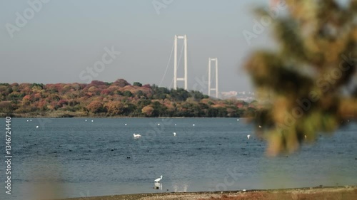 lake in the Yalova