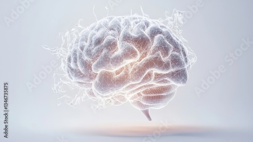 3d rendered illustration of a brain
