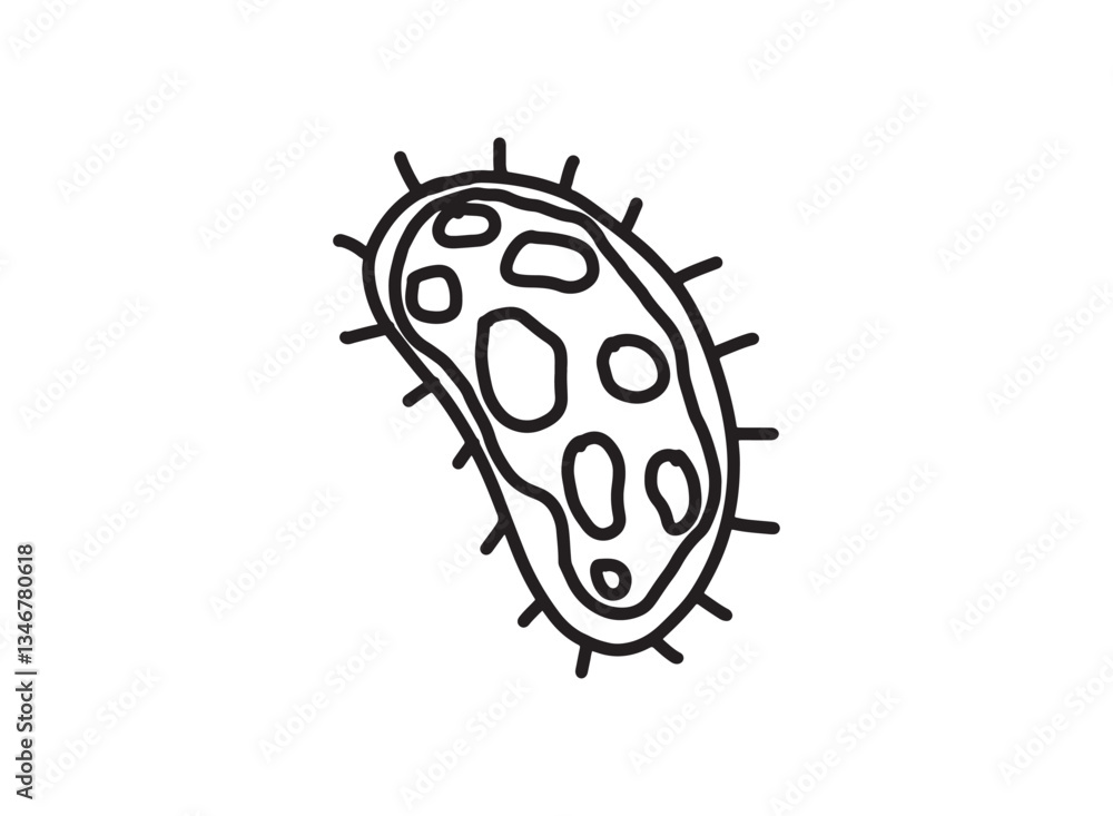 Set of an Bacteria and Virus Illustration Set of an Bacteria and Virus Illustration