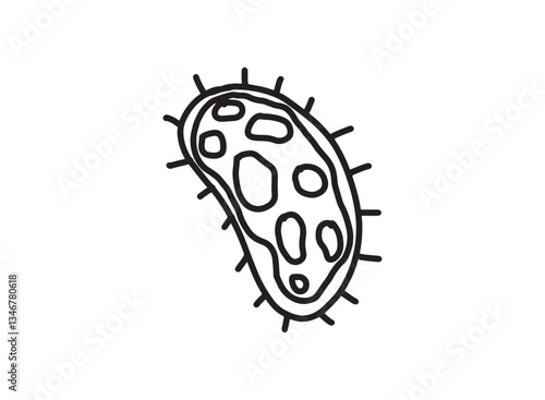 Set of an Bacteria and Virus Illustration