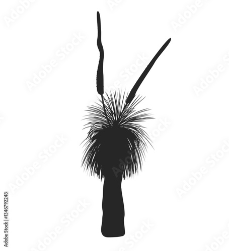 Outline Xanthorrhoea tree with flower vector isolated illustration. The Grass tree in blossom, native Australian endemic flora element