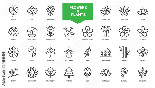 collection flowers plants icons peony bonsai tree rose blossom, Jasmine Daisy Hibiscus Poppy