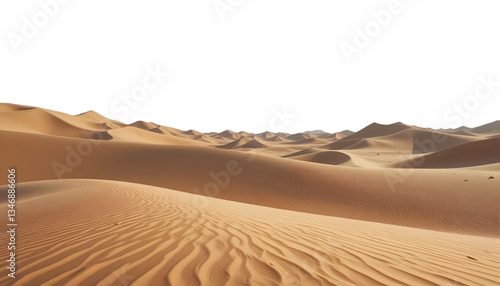 desert sand dunes isolated