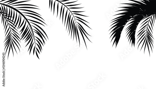 Palm tree leaf abstract background. palm tree leaf pattern on transperent background. natural background. palm leaf silhouette