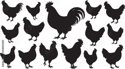 Rooster and hens on a farm with a set of chickens in a simple vector illustration