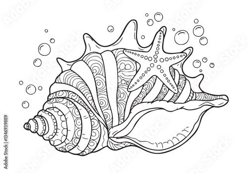  Conch Shell – A Beautiful and Intricate Ocean Coloring Book Page