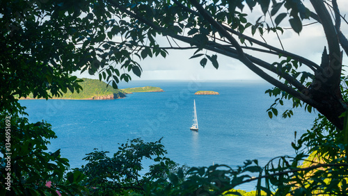 Vue de la baie des Saintes  avec un arbre, la mer bleue et un voilier qui navigue par une journée ensoleillée et des nuages