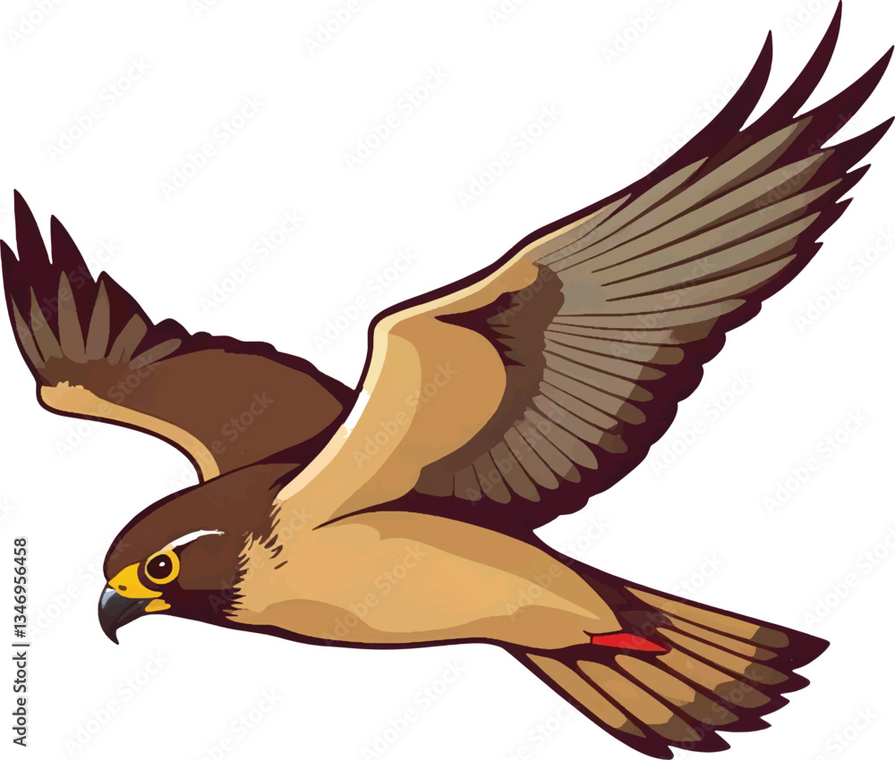 Fototapeta premium Eagle in Flight Isolated | High-Quality EPS Vector Illustration