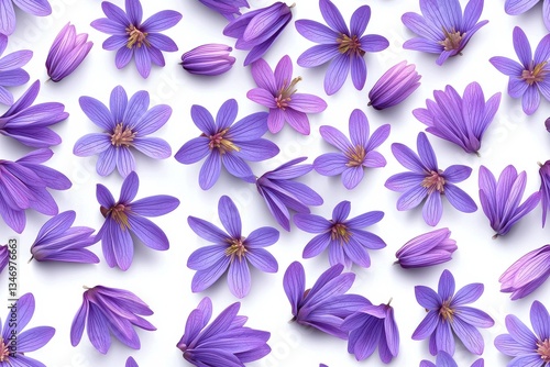 Purple Flower Petals on White Background Flatlay Photography