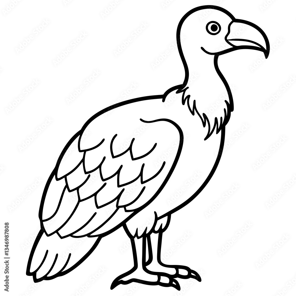 Clean and Modern Vulture Line Drawing Clean and Modern Vulture Line Drawing