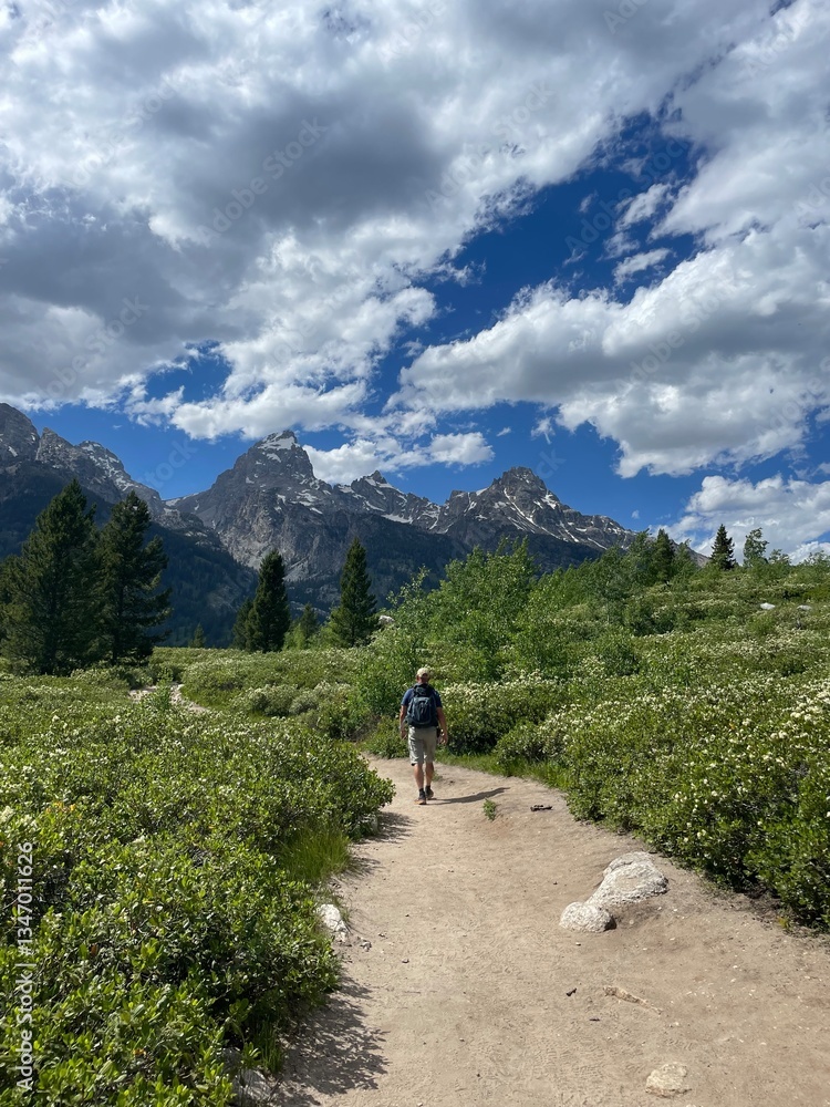 Fototapeta premium Grand Teton National Forest hiking trail around Jenny Lake, Wyoming 