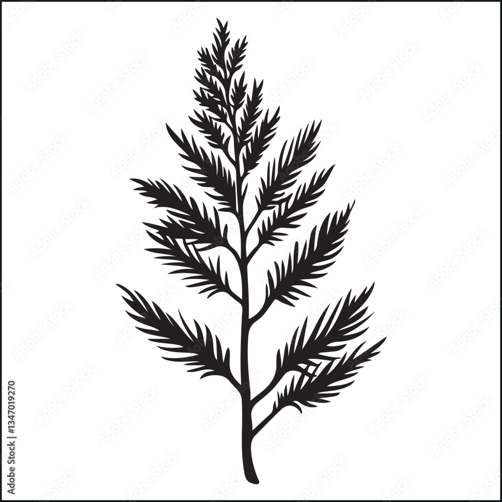 Fototapeta premium pine leaf silhouette